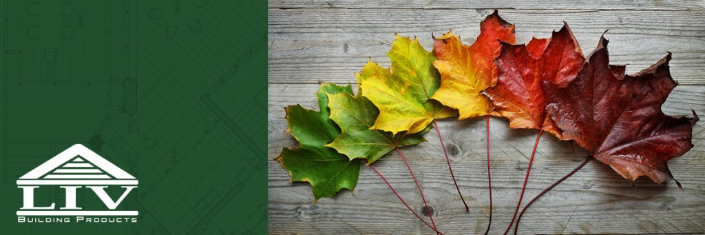 leaves laid out in a rainbow on wood background